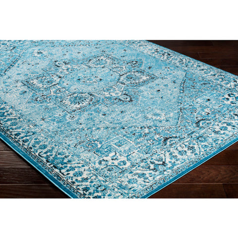 Image of Surya Mumbai Traditional Aqua, Sky Blue, Black, White Rugs MUM-2309