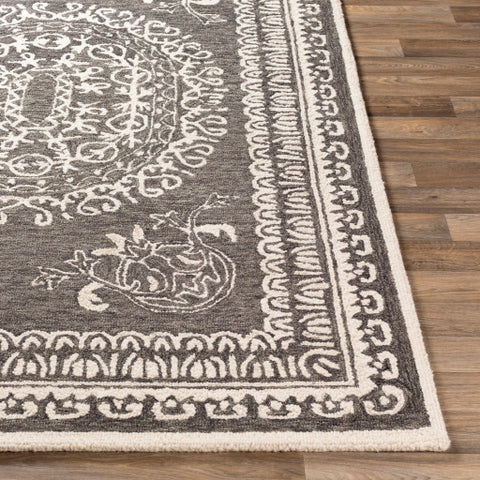 Image of Surya Newcastle Traditional Black, Cream Rugs NCS-2305