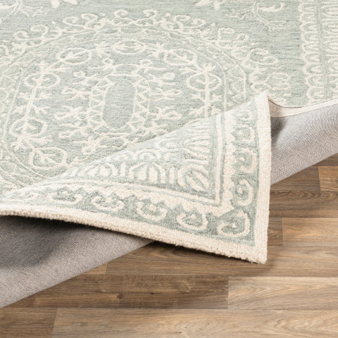 Image of Surya Newcastle Traditional Sea Foam, Sage, Cream Rugs NCS-2306