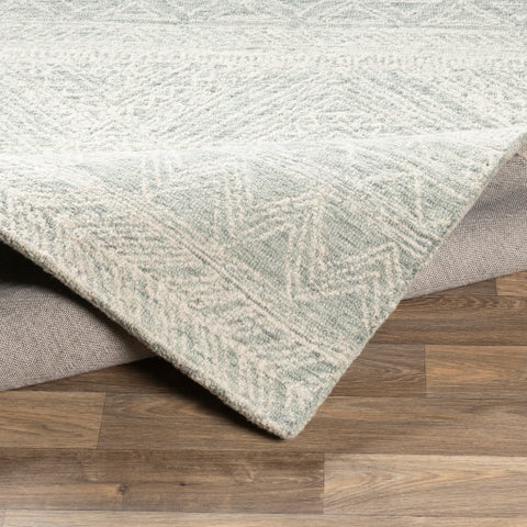 Image of Surya Newcastle Global Sea Foam, Sage, Dark Green, Cream Rugs NCS-2312