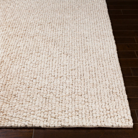 Image of Surya Neravan Modern Cream, Taupe Rugs NER-1000