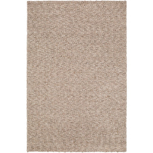 Surya Neravan Modern Taupe, Cream Rugs NER-1002