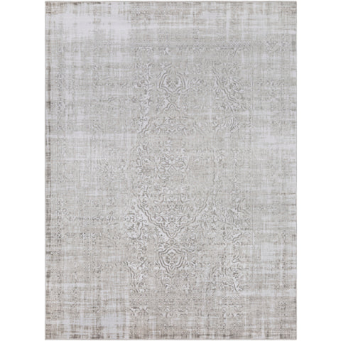 Image of Surya Nova Traditional Medium Gray, Ivory Rugs NVA-3025