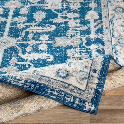 Image of Surya Norwich Traditional Dark Blue, Cream, Medium Gray, Light Gray, Aqua Rugs NWC-2316