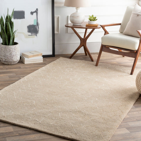 Image of Surya Naya Modern Khaki, Beige Rugs NY-5275