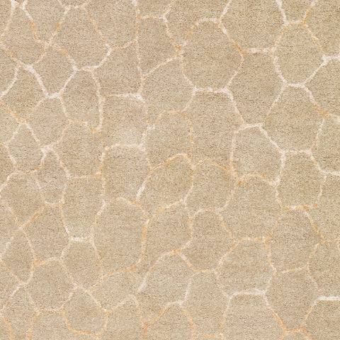 Image of Surya Naya Modern Khaki, Beige Rugs NY-5275