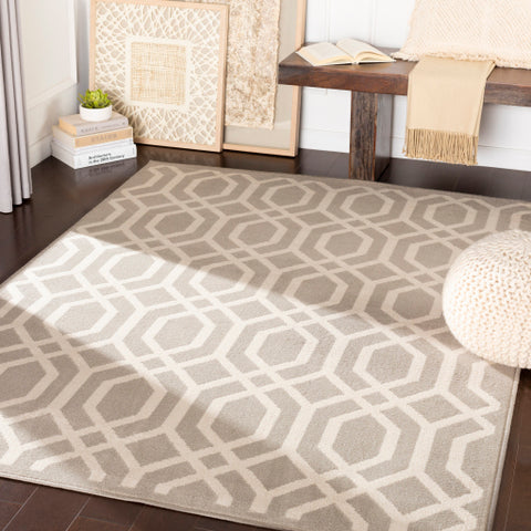 Image of Surya Oslo Cottage Light Gray, Cream Rugs OSL-2312