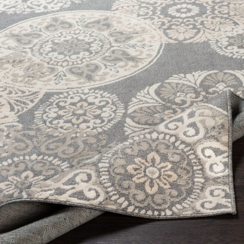 Image of Surya Oslo Cottage Charcoal, Light Gray, Beige, Cream Rugs OSL-2314