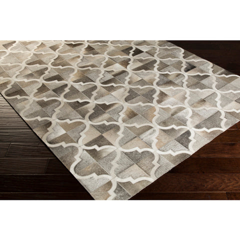 Image of Surya Outback Modern Ivory, Taupe, Medium Gray Rugs OUT-1002