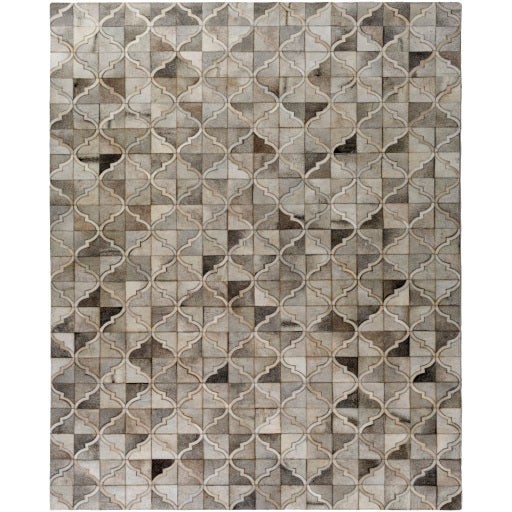 Surya Outback Modern Ivory, Taupe, Medium Gray Rugs OUT-1002
