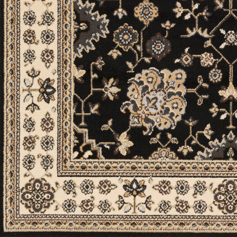 Image of Surya Paramount Traditional Black, Khaki, Charcoal, Medium Gray, Dark Brown, Beige Rugs PAR-1070