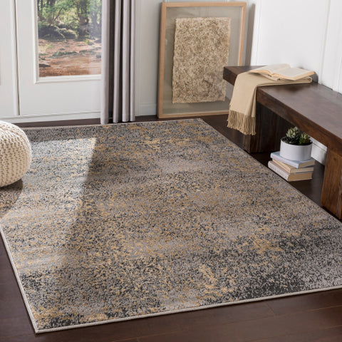 Image of Surya Paramount Traditional Medium Gray, Khaki, Charcoal, Beige Rugs PAR-1074