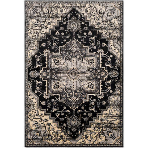 Image of Surya Paramount Traditional Black, Charcoal, Khaki, Beige Rugs PAR-1090