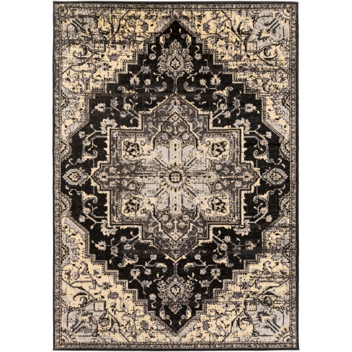 Surya Paramount Traditional Black, Charcoal, Khaki, Beige Rugs PAR-1090