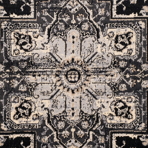 Image of Surya Paramount Traditional Black, Charcoal, Khaki, Beige Rugs PAR-1090