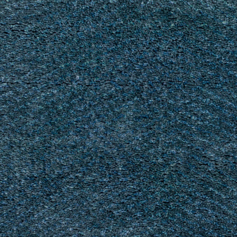 Image of Surya Parma Modern Navy, Pale Blue Rugs PMA-2300