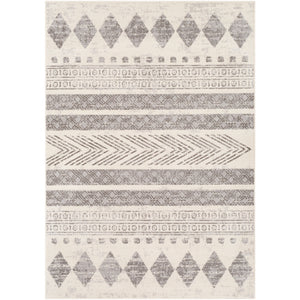 Surya Pisa Modern Medium Gray, Light Gray, Ivory Rugs PSS-2306