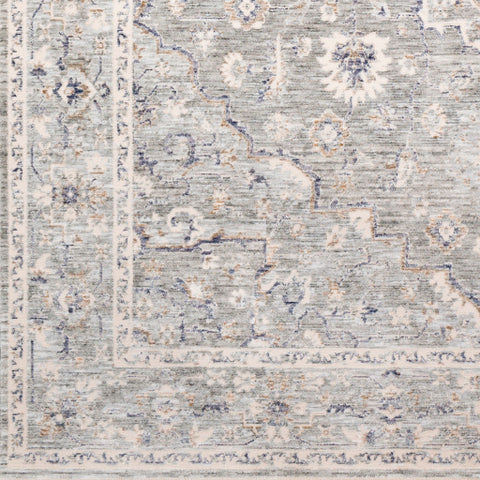 Image of Surya Palazzo Traditional Taupe, Camel, Pale Blue, Denim, Navy, Cream, White, Blush Rugs PZL-2300