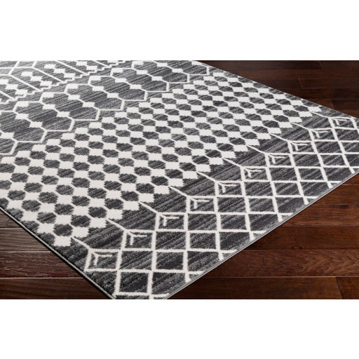 Surya Rabat Global Charcoal, Medium Gray, White Rugs RBT-2309