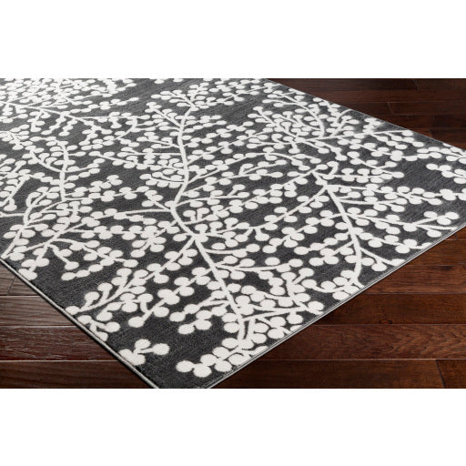 Surya Rabat Modern Charcoal, White Rugs RBT-2311