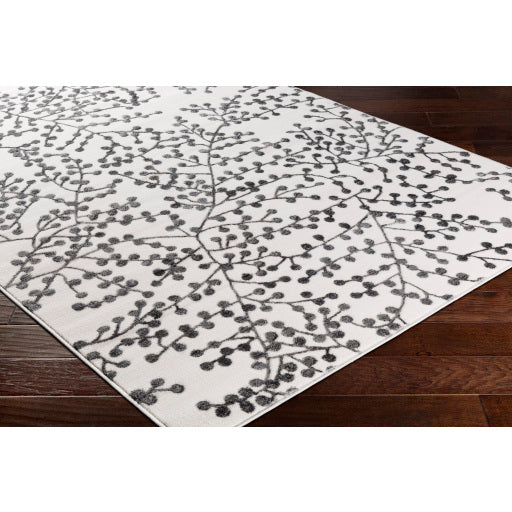 Surya Rabat Modern Medium Gray, Charcoal, White Rugs RBT-2312