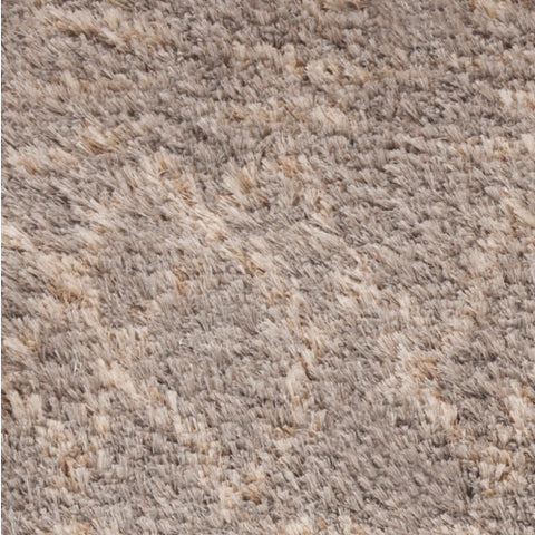 Image of Surya Rhapsody Global Taupe, Cream Rugs RHA-1032