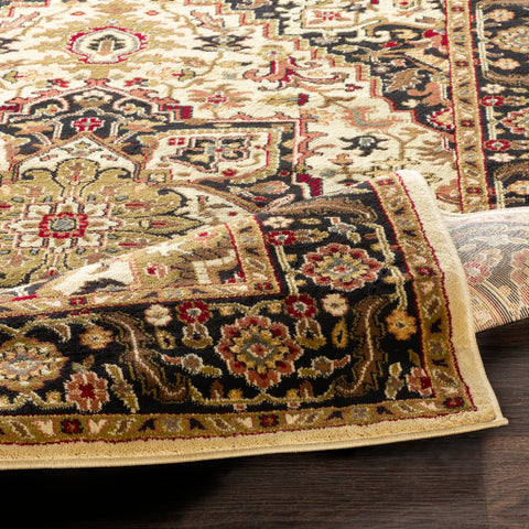 Image of Surya Riley Traditional Dark Brown, Olive, Camel, Butter, Wheat, Burgundy Rugs RLY-5038