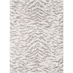 Surya Remy Modern Charcoal, Medium Gray, Light Gray, White Rugs RMY-2303