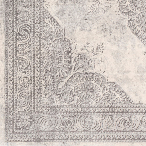 Surya Roma Traditional White, Light Gray, Medium Gray Rugs ROM-2304
