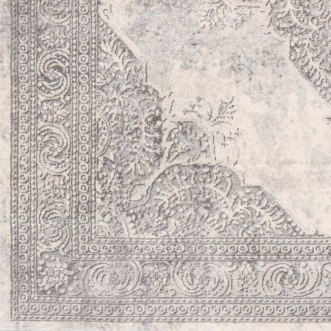 Image of Surya Roma Traditional White, Light Gray, Medium Gray Rugs ROM-2304