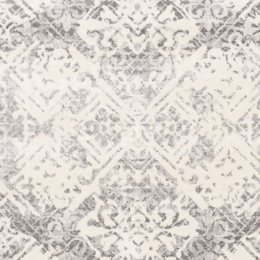 Surya Roma Cottage Medium Gray, Light Gray, White Rugs ROM-2305