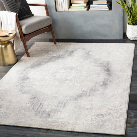 Image of Surya Roma Traditional Light Gray, Cream, Camel Rugs ROM-2312