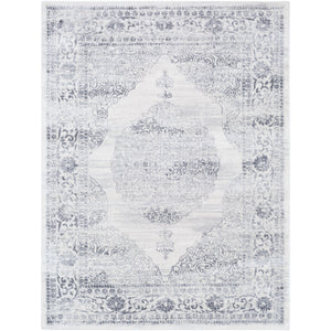 Surya Roma Traditional Medium Gray, Light Gray, White Rugs ROM-2313