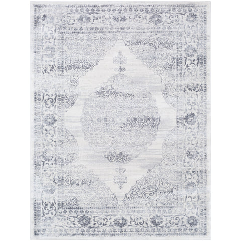 Image of Surya Roma Traditional Medium Gray, Light Gray, White Rugs ROM-2313