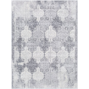 Surya Roma Traditional Medium Gray, Light Gray, White Rugs ROM-2316