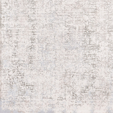 Image of Surya Soleil Traditional Light Gray, Medium Gray, Cream Rugs SOI-2310