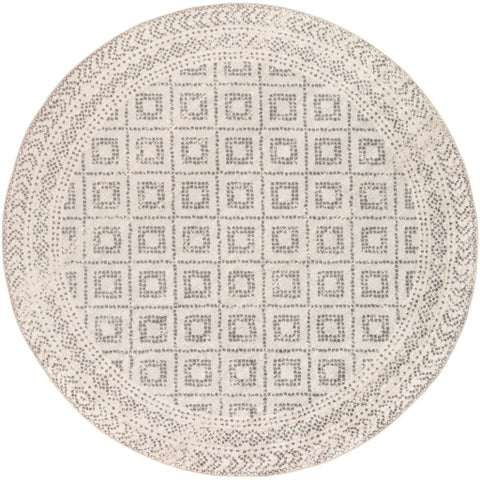 Image of Surya Sunderland Global Light Gray, White, Medium Gray Rugs SUN-2301