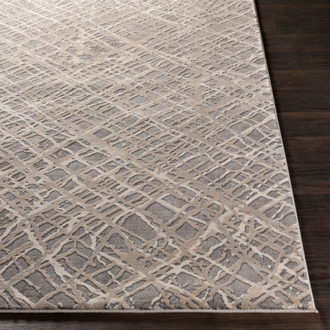 Image of Surya Tibetan Modern Charcoal, Taupe, Khaki, Medium Gray, Cream Rugs TBT-2316