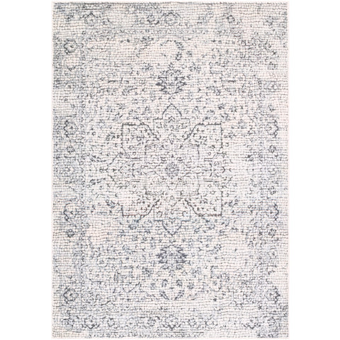 Image of Surya Venezia Traditional Medium Gray, Beige, Charcoal Rugs VNZ-2309