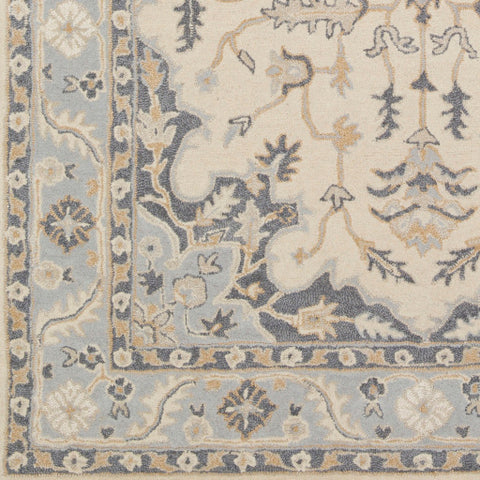 Image of Surya Viva Traditional Light Gray, Denim, Beige, Ivory, Taupe Rugs VVA-1003