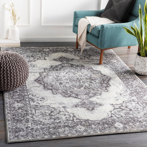 Image of Surya Wanderlust Traditional Charcoal, Silver Gray, White Rugs WNL-2303
