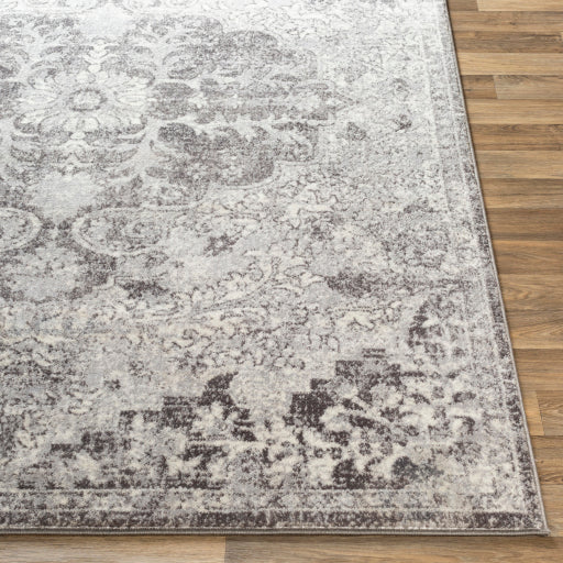 Surya Wanderlust Traditional Silver Gray, White, Charcoal Rugs WNL-2308