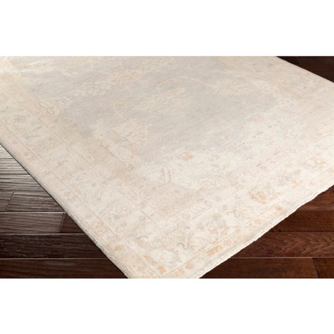 Surya Westchester Traditional Ivory, Taupe, Light Gray, Sea Foam Rugs WTC-8005