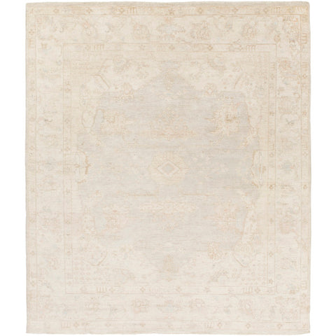 Surya Westchester Traditional Ivory, Taupe, Light Gray, Sea Foam Rugs WTC-8005