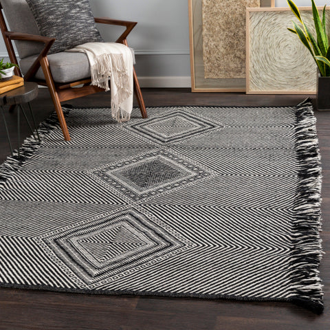 Image of Surya Zanafi Global Black, White Rugs ZNF-2302